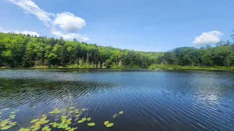 373 Brookline Road Athens VT 05143