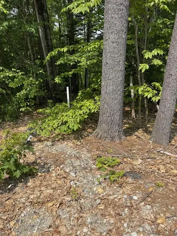 15 Circuit Road Ossipee NH 03864