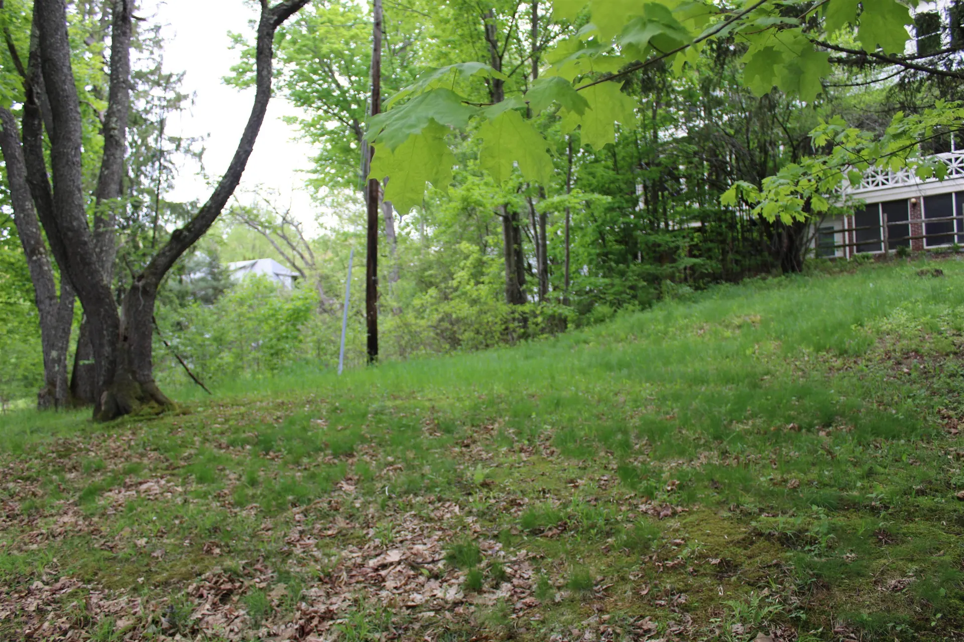 119 Summer Street St. Johnsbury VT 05819