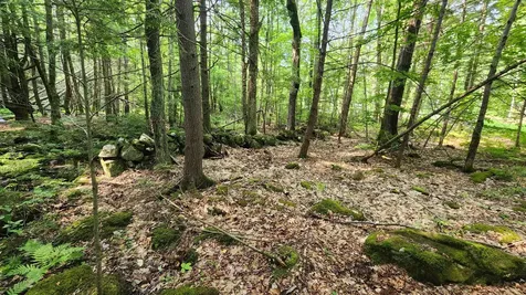104 Beauty Hill Road Barnstead NH 03225