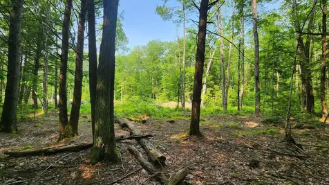 104 Beauty Hill Road Barnstead NH 03225