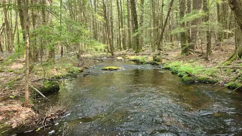 104 Beauty Hill Road Barnstead NH 03225