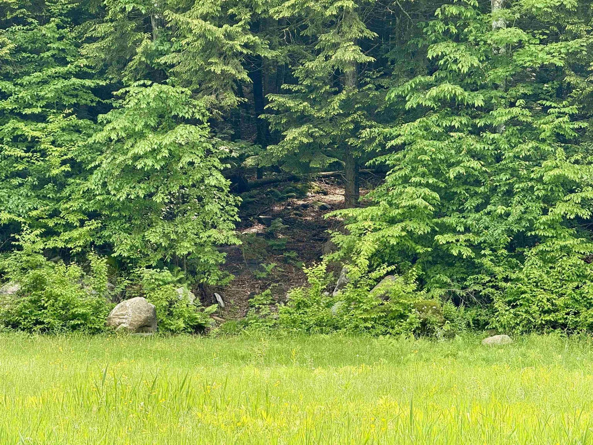 Lot 3 Mattson Road Chester VT 05143