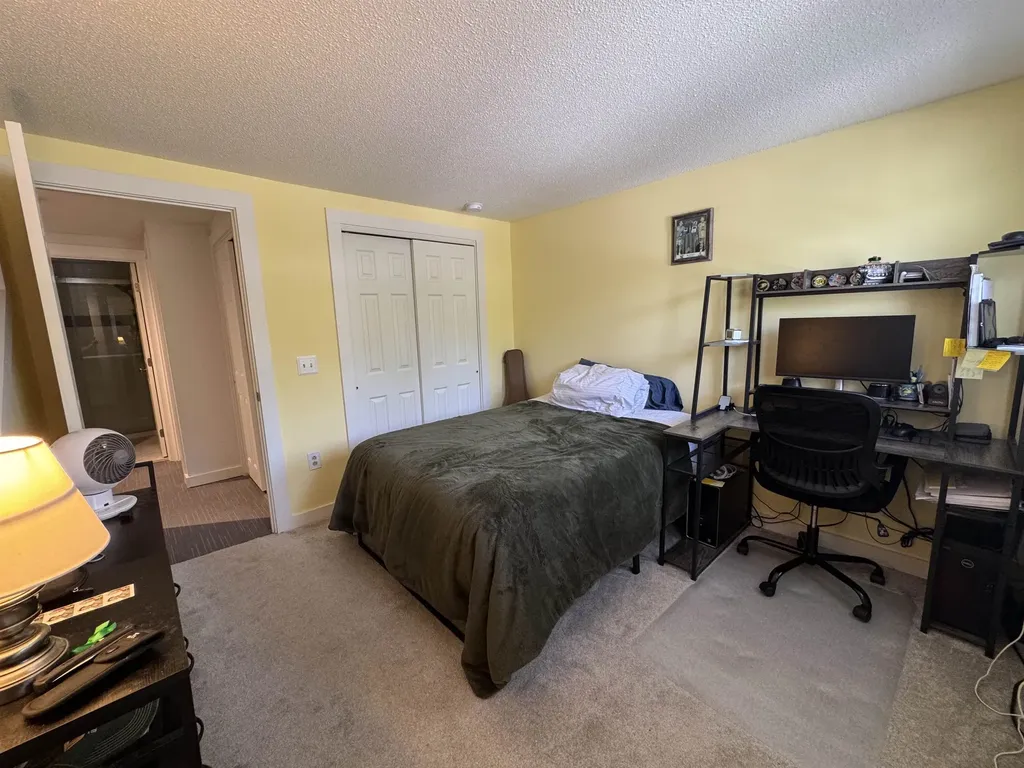 40 Bourn Brook Road Manchester VT 05255