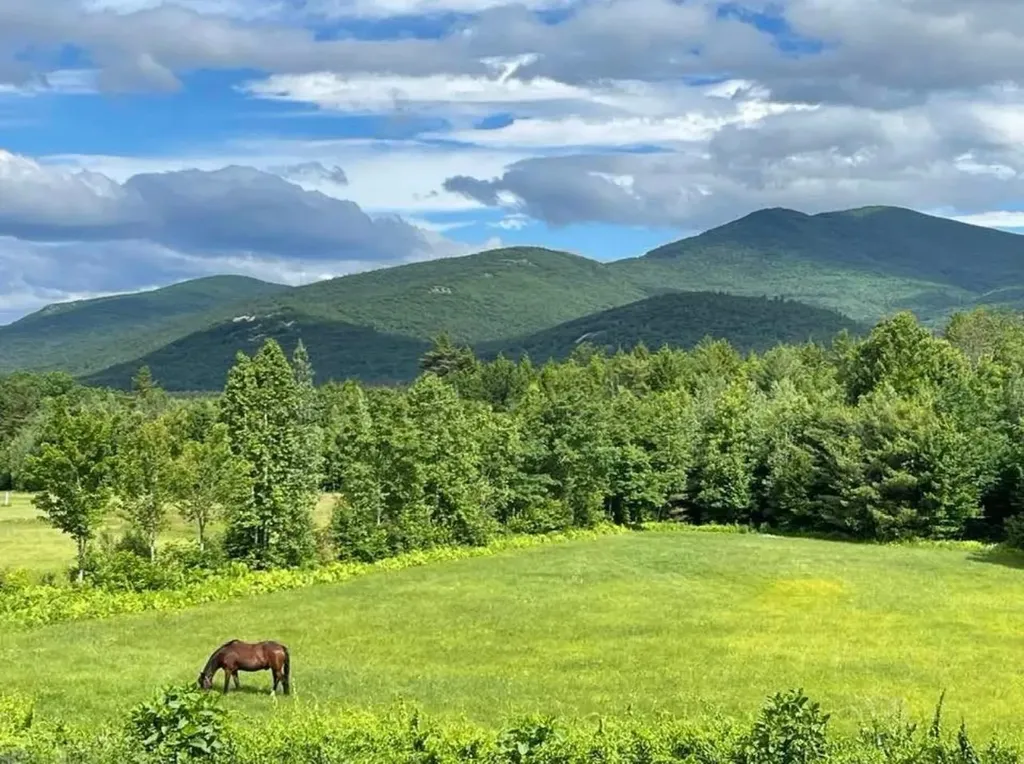 190 Ledge Hill Road Tuftonboro NH 03816