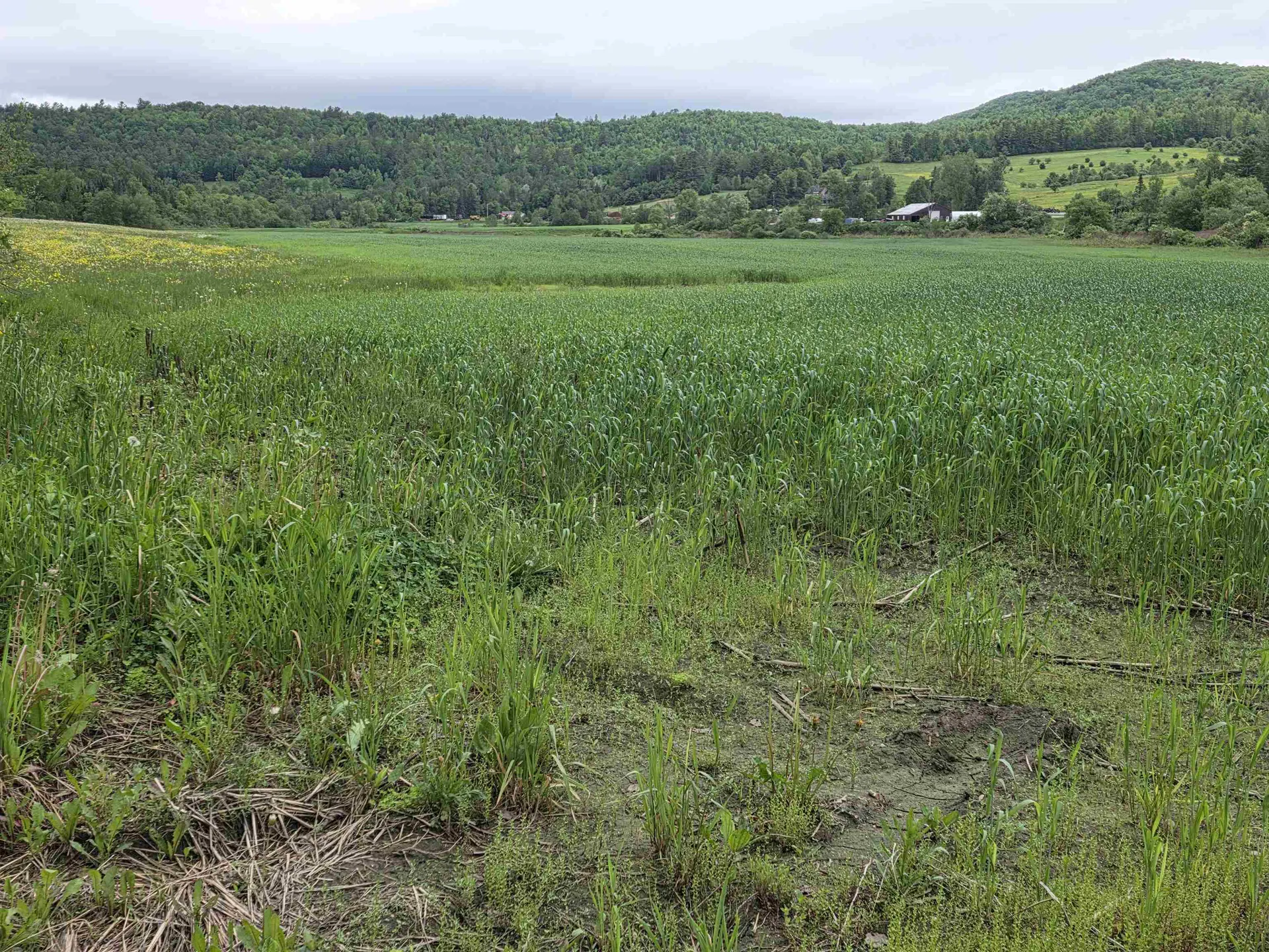0 Old Concord Road Concord VT 05824