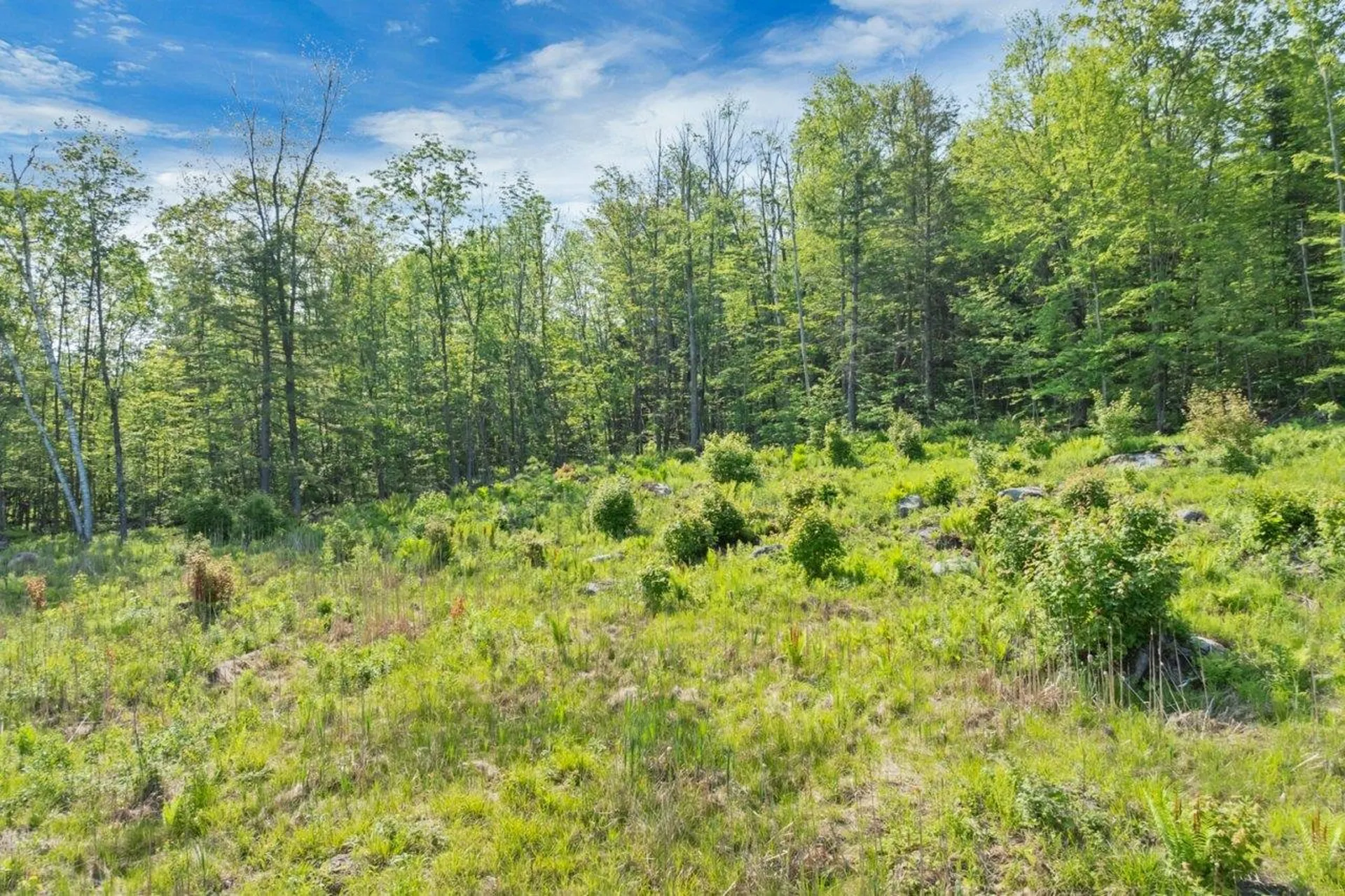 0 Boulder Point Drive Plymouth NH 03264