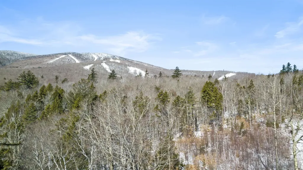 2 Gold Medal Circle Stratton VT 05155