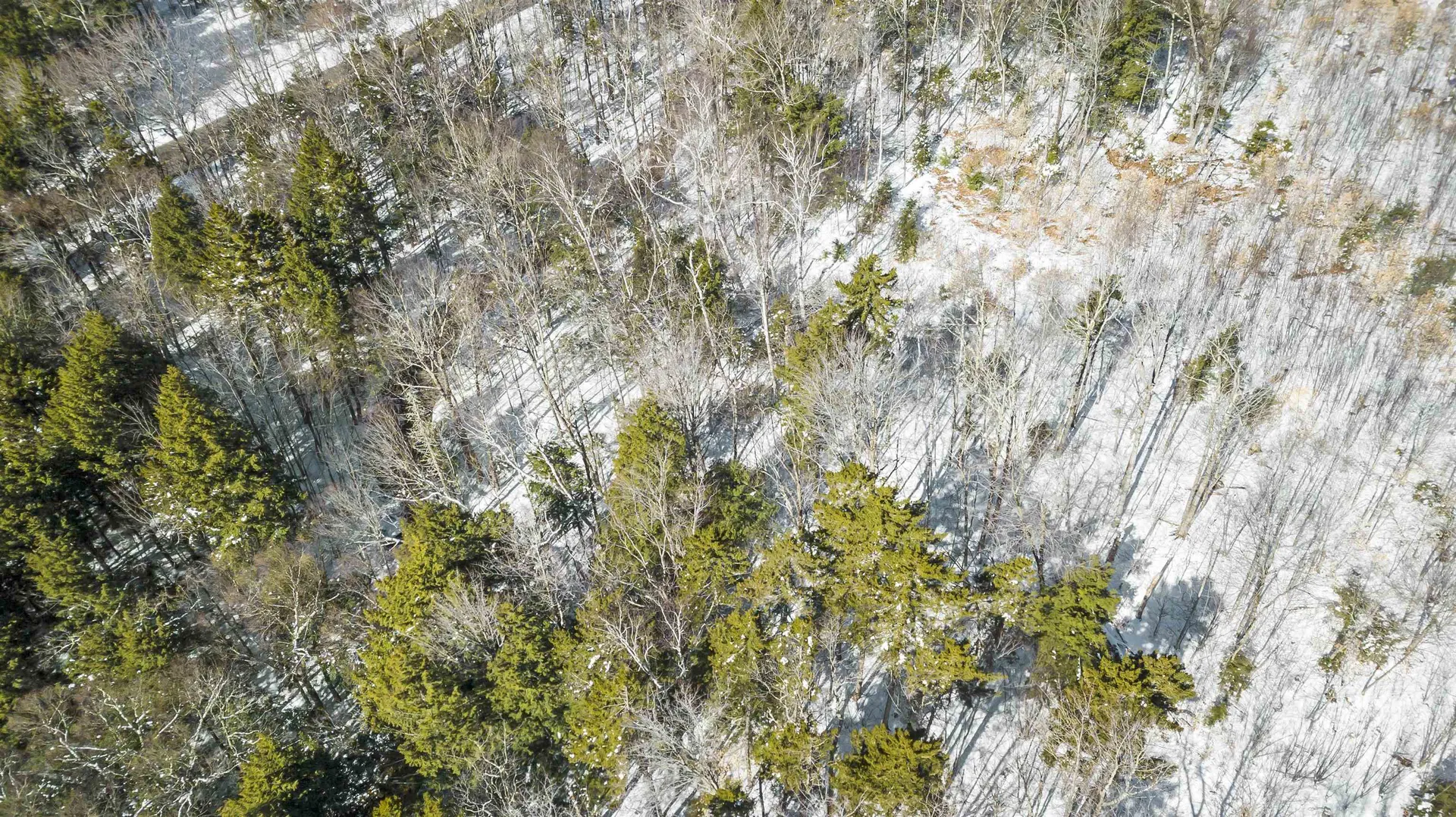 2 Gold Medal Circle Stratton VT 05155