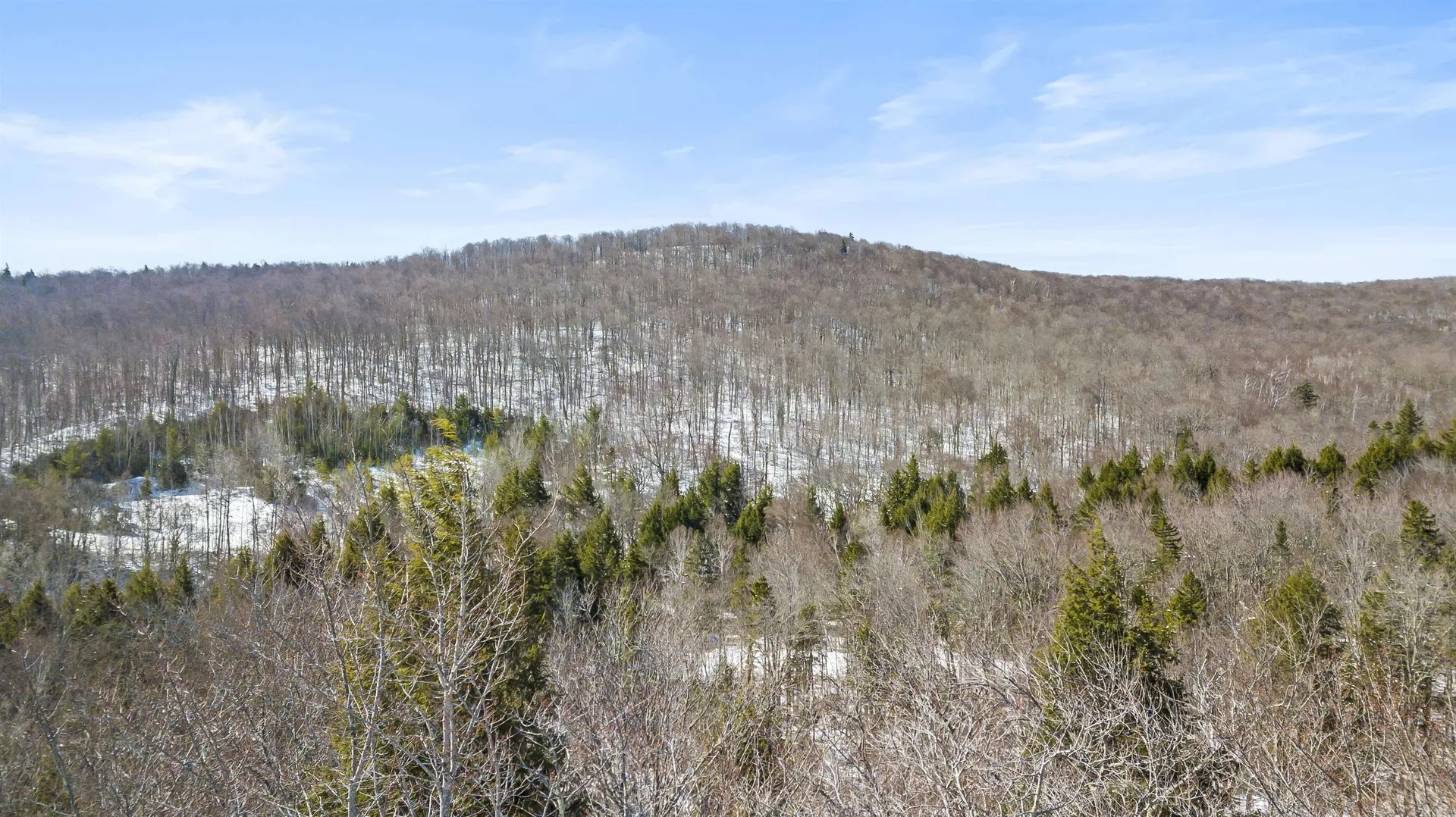 2 Gold Medal Circle Stratton VT 05155