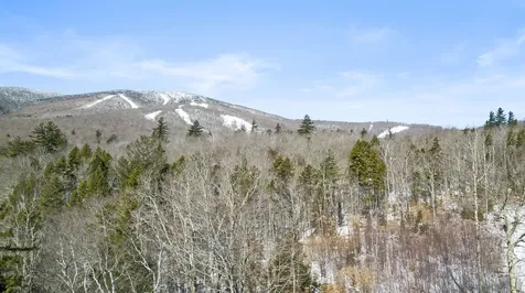 2 Gold Medal Circle Stratton VT 05155