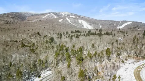 2 Gold Medal Circle Stratton VT 05155
