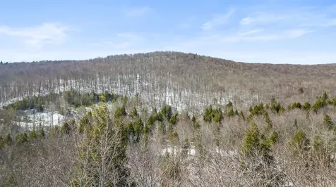 2 Gold Medal Circle Stratton VT 05155