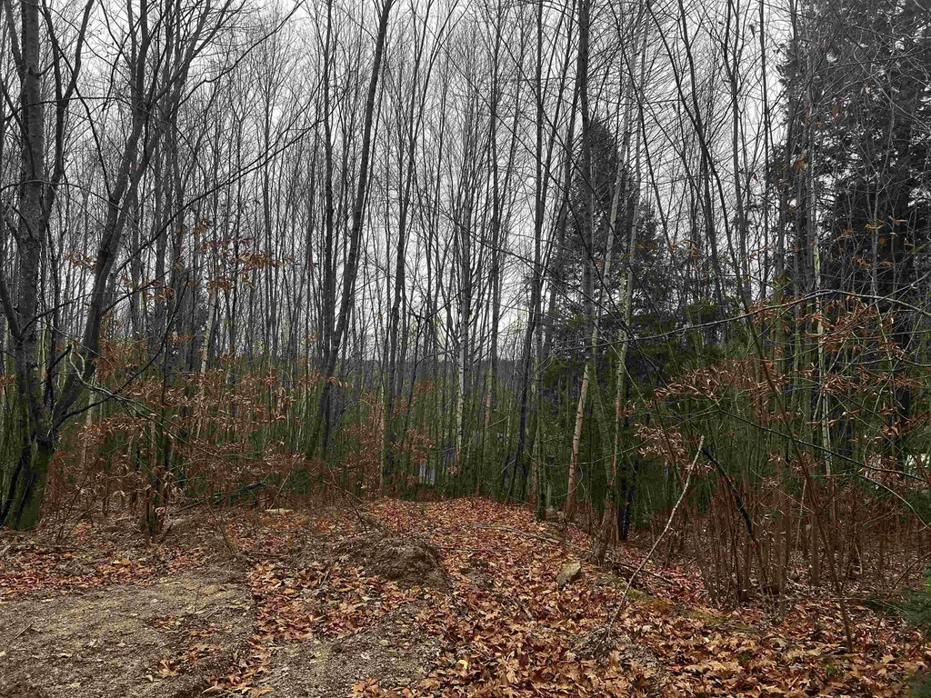196 Old Pound Road Effingham NH 03882