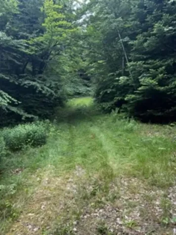 196 Old Pound Road Effingham NH 03882