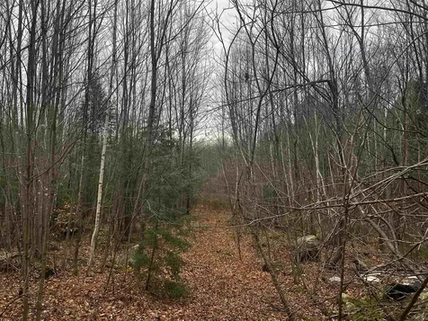 196 Old Pound Road Effingham NH 03882
