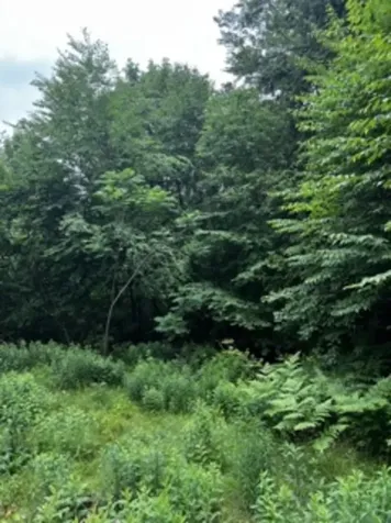 196 Old Pound Road Effingham NH 03882