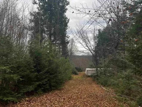 196 Old Pound Road Effingham NH 03882