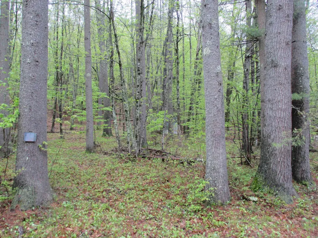 72 Brewster Road Barrington NH 03825