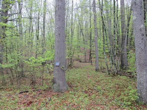 72 Brewster Road Barrington NH 03825