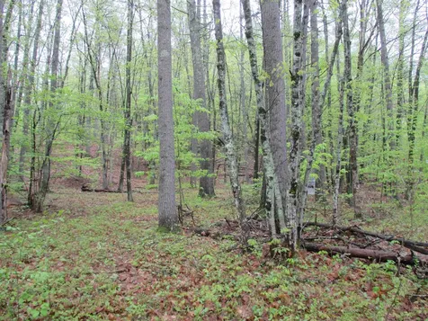 72 Brewster Road Barrington NH 03825