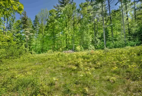 971 South Road Bethlehem NH 03574
