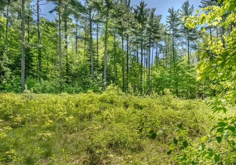 971 South Road Bethlehem NH 03574