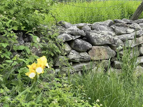 2194 Mowrey Road Jamaica VT 05343