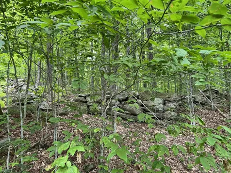 2194 Mowrey Road Jamaica VT 05343