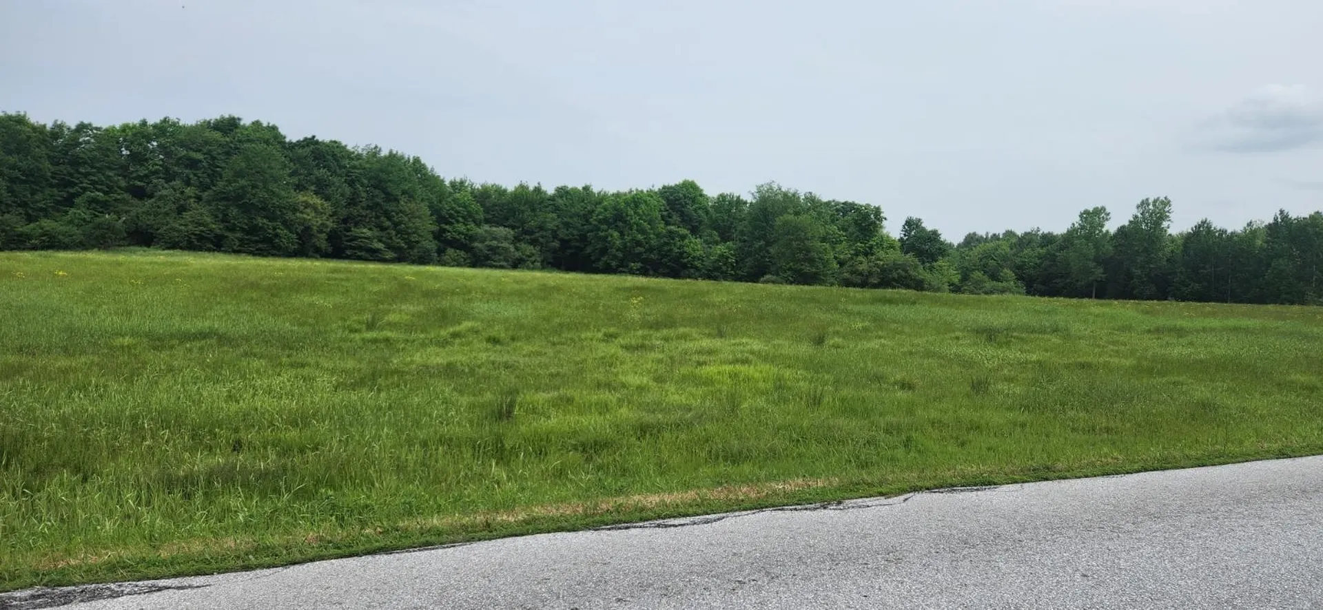 2051 Sheldon Woods Road Fairfield VT 05455