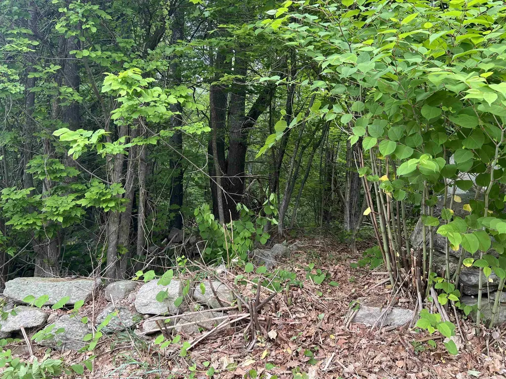 Ball Hill Road Milford NH 03055
