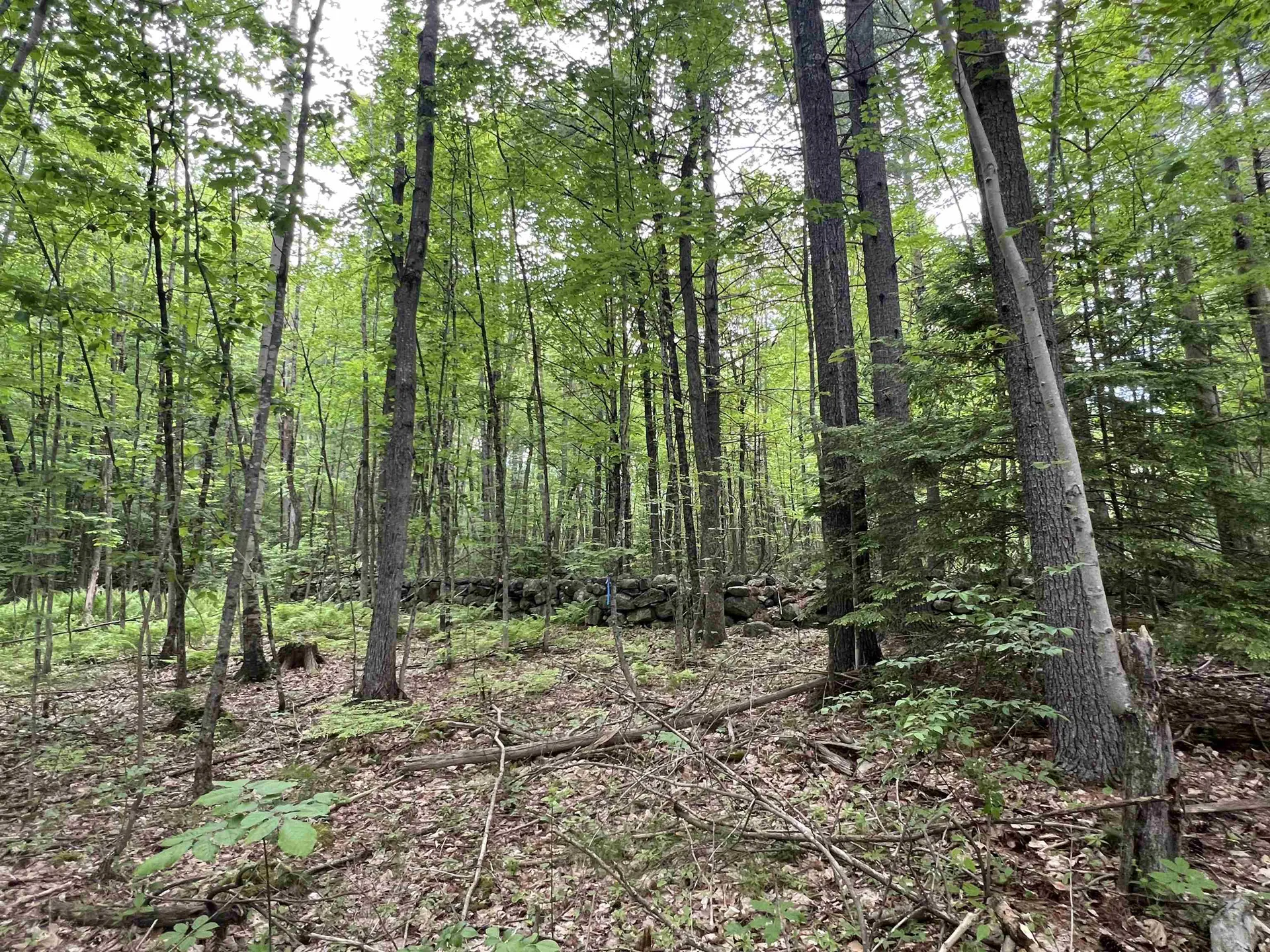 Ball Hill Road Milford NH 03055