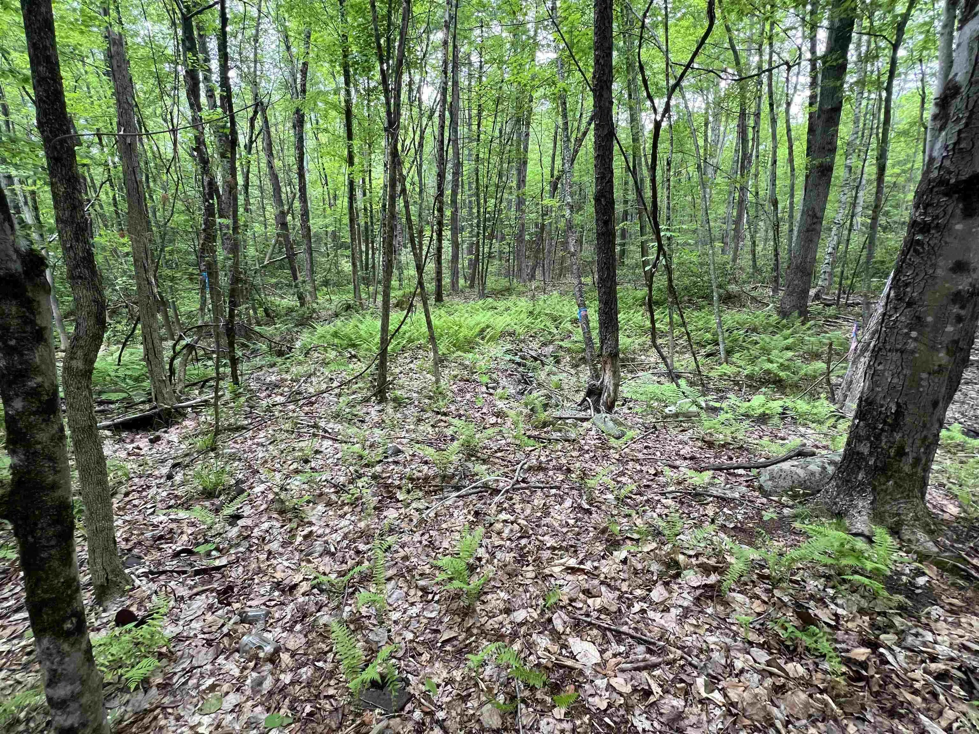 Ball Hill Road Milford NH 03055