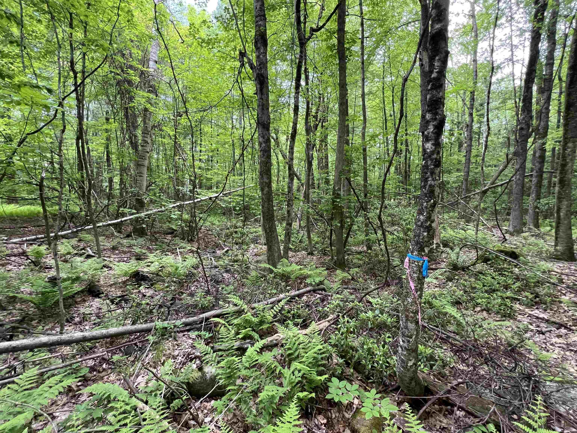 Ball Hill Road Milford NH 03055