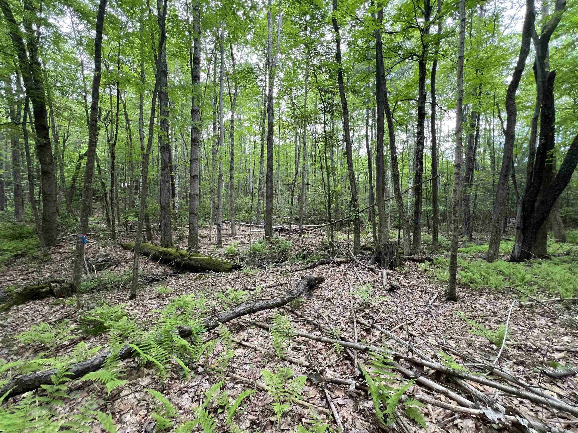 Ball Hill Road Milford NH 03055