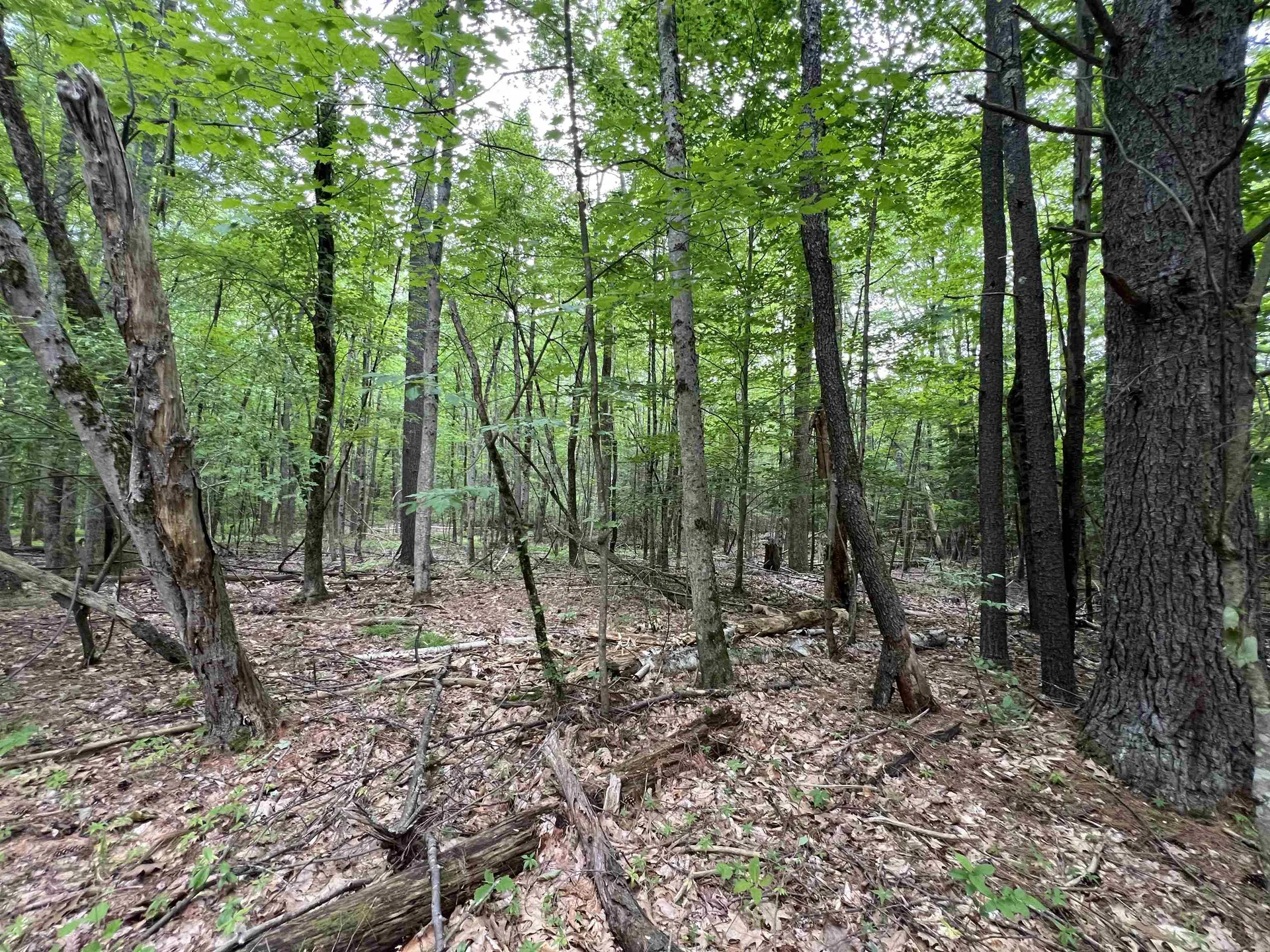 Ball Hill Road Milford NH 03055