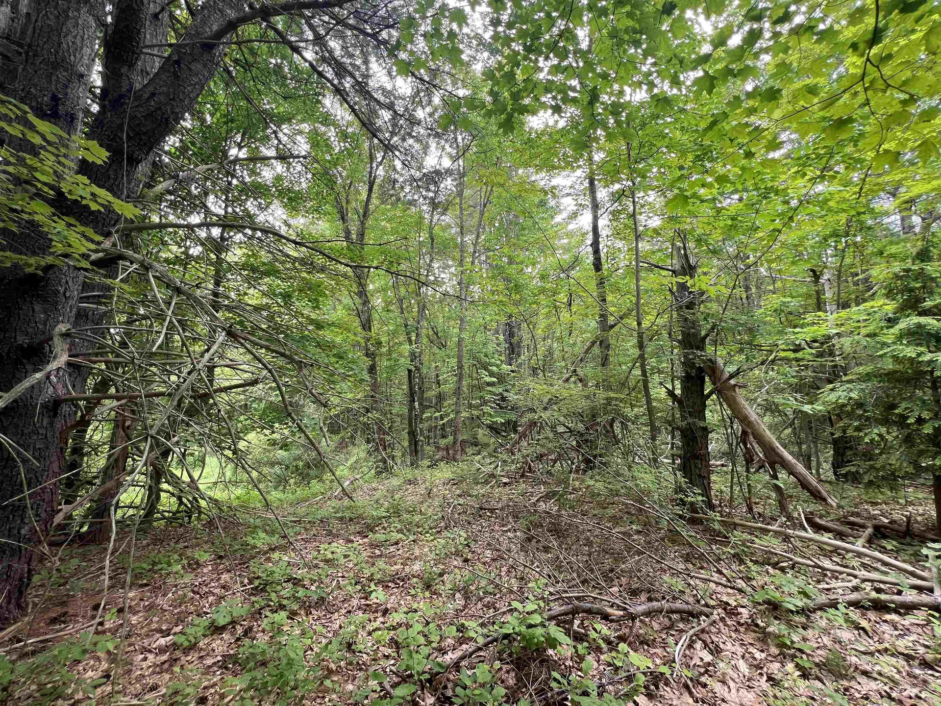 Ball Hill Road Milford NH 03055