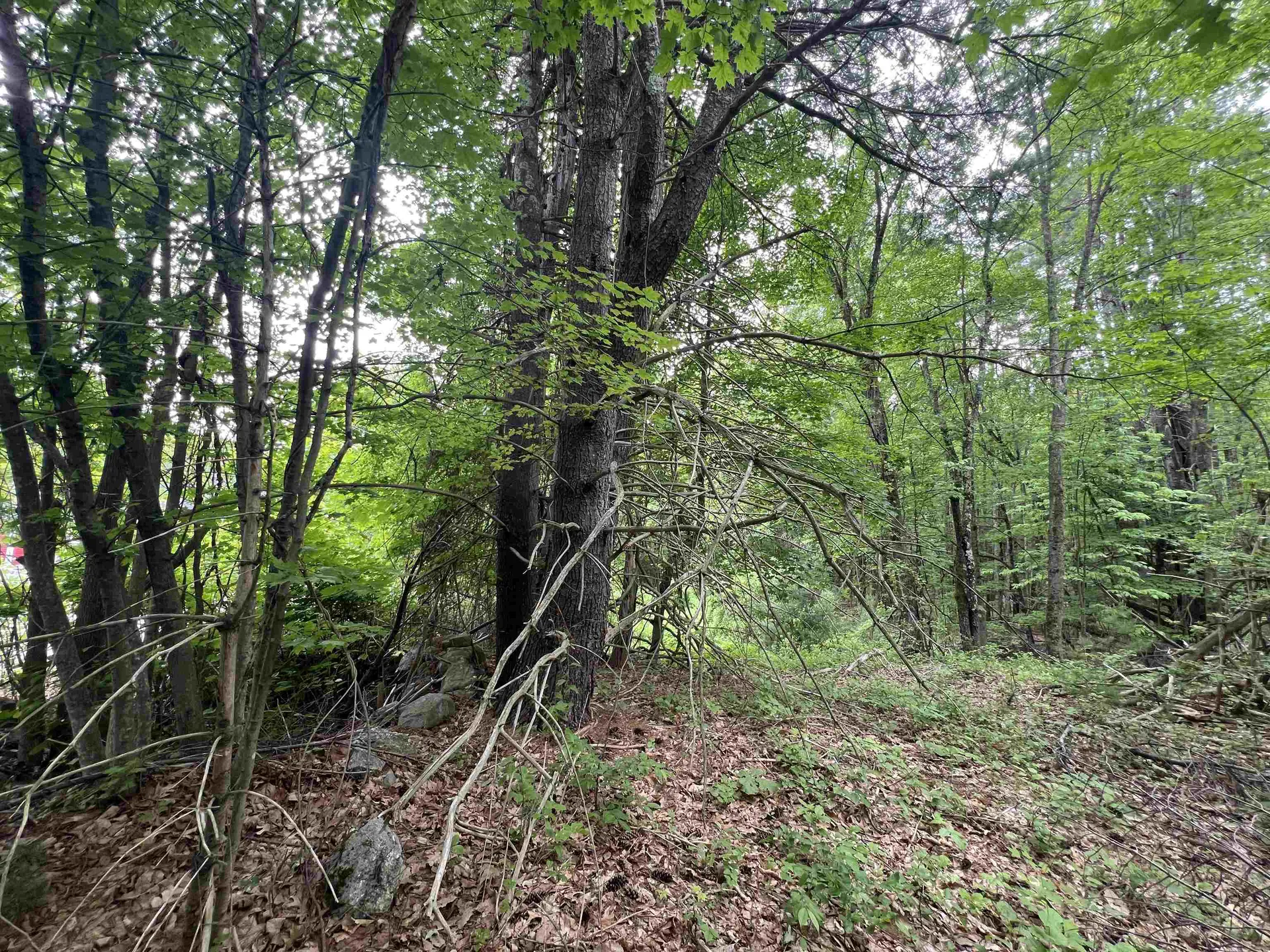 Ball Hill Road Milford NH 03055