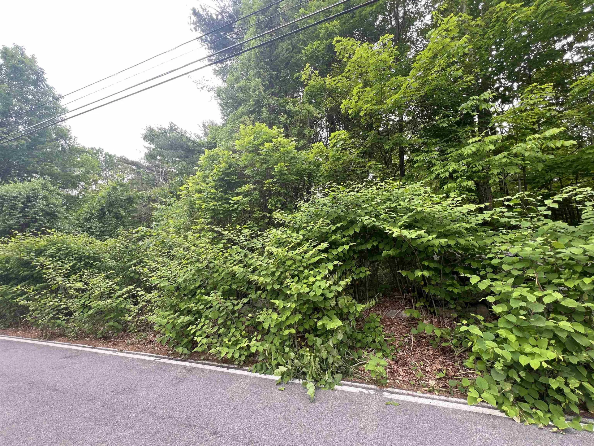 Ball Hill Road Milford NH 03055