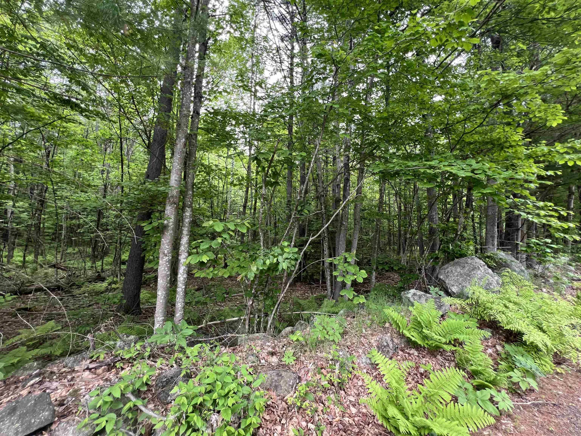 Ball Hill Road Milford NH 03055