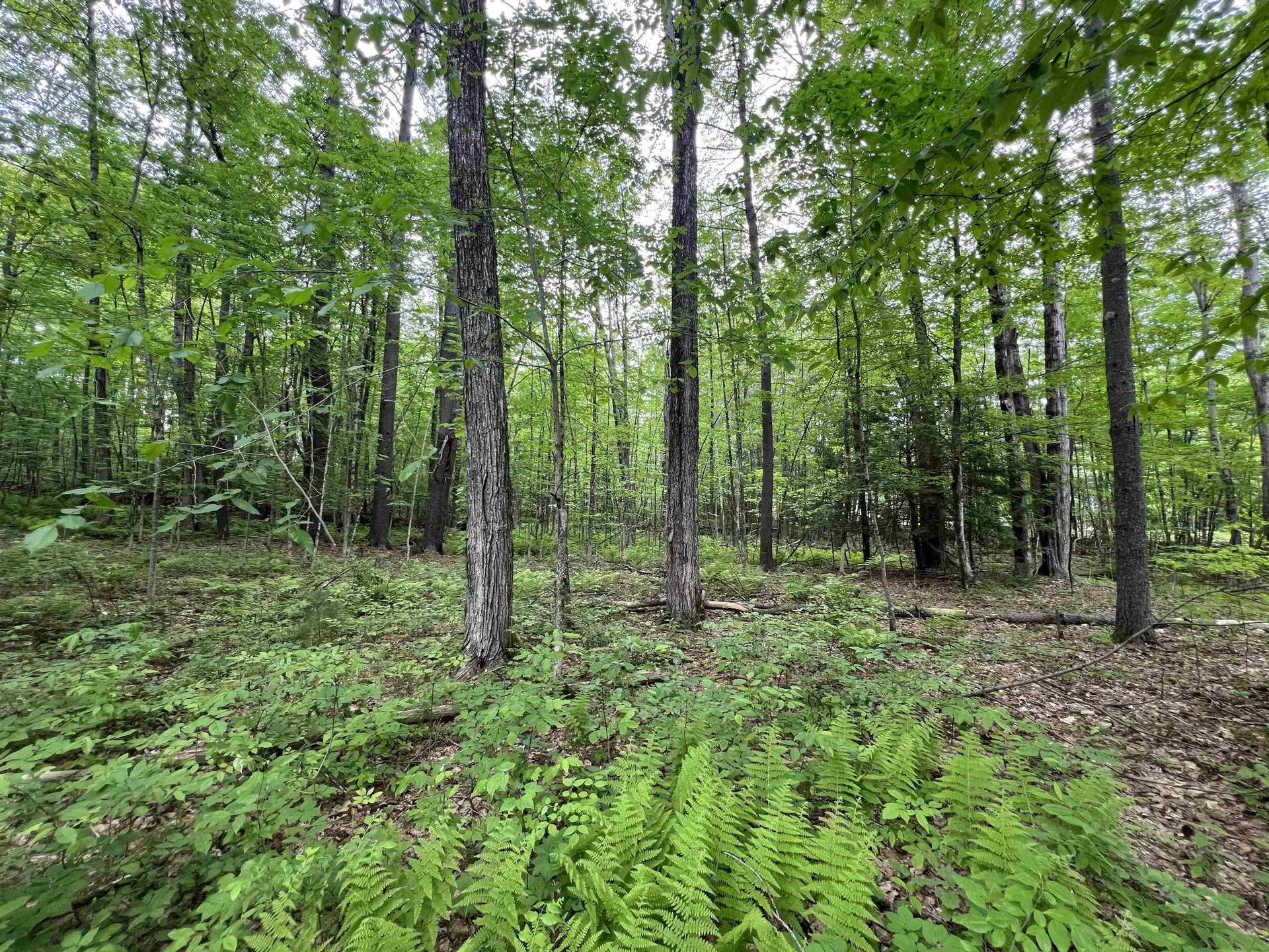 Ball Hill Road Milford NH 03055