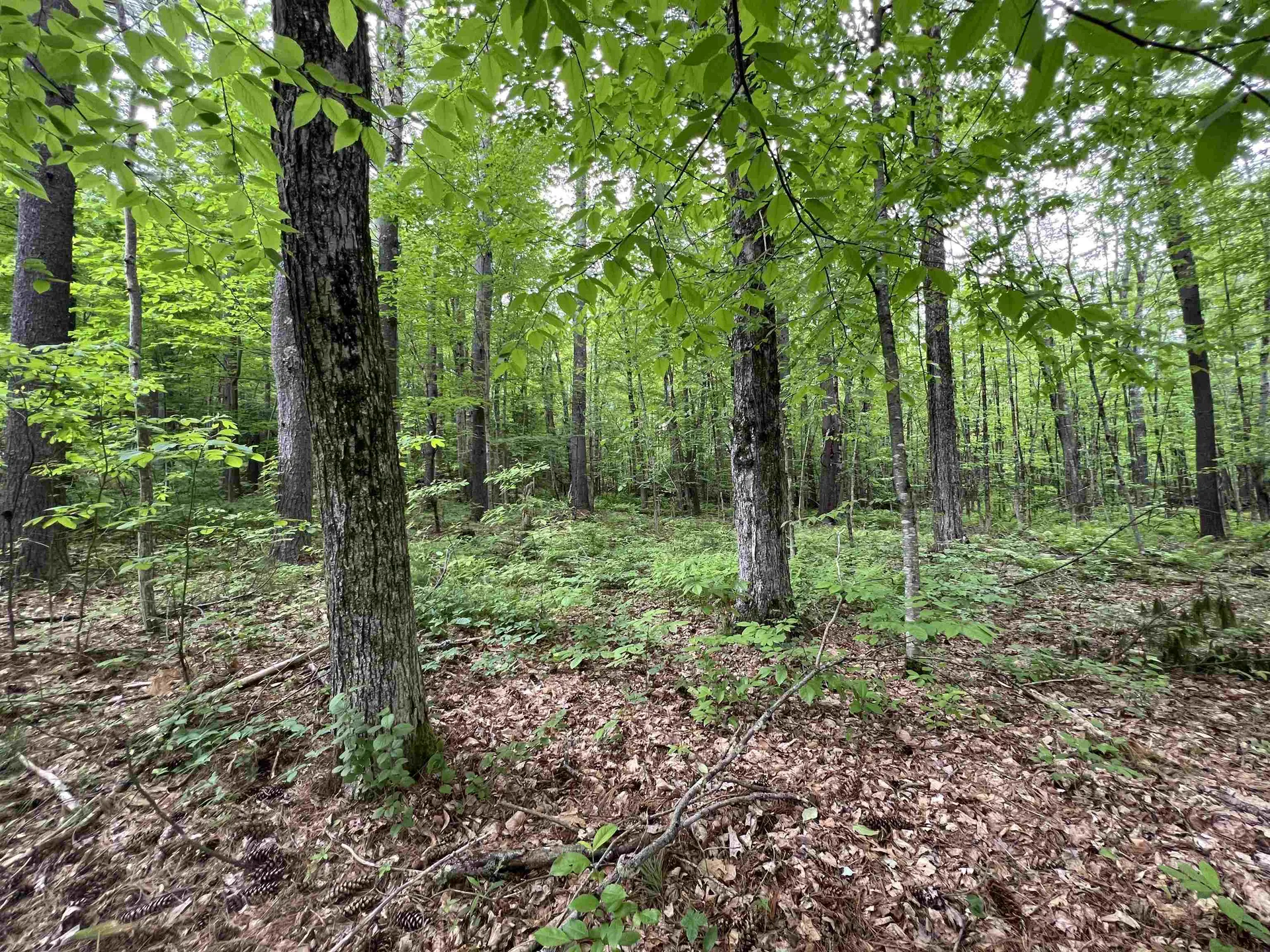 Ball Hill Road Milford NH 03055