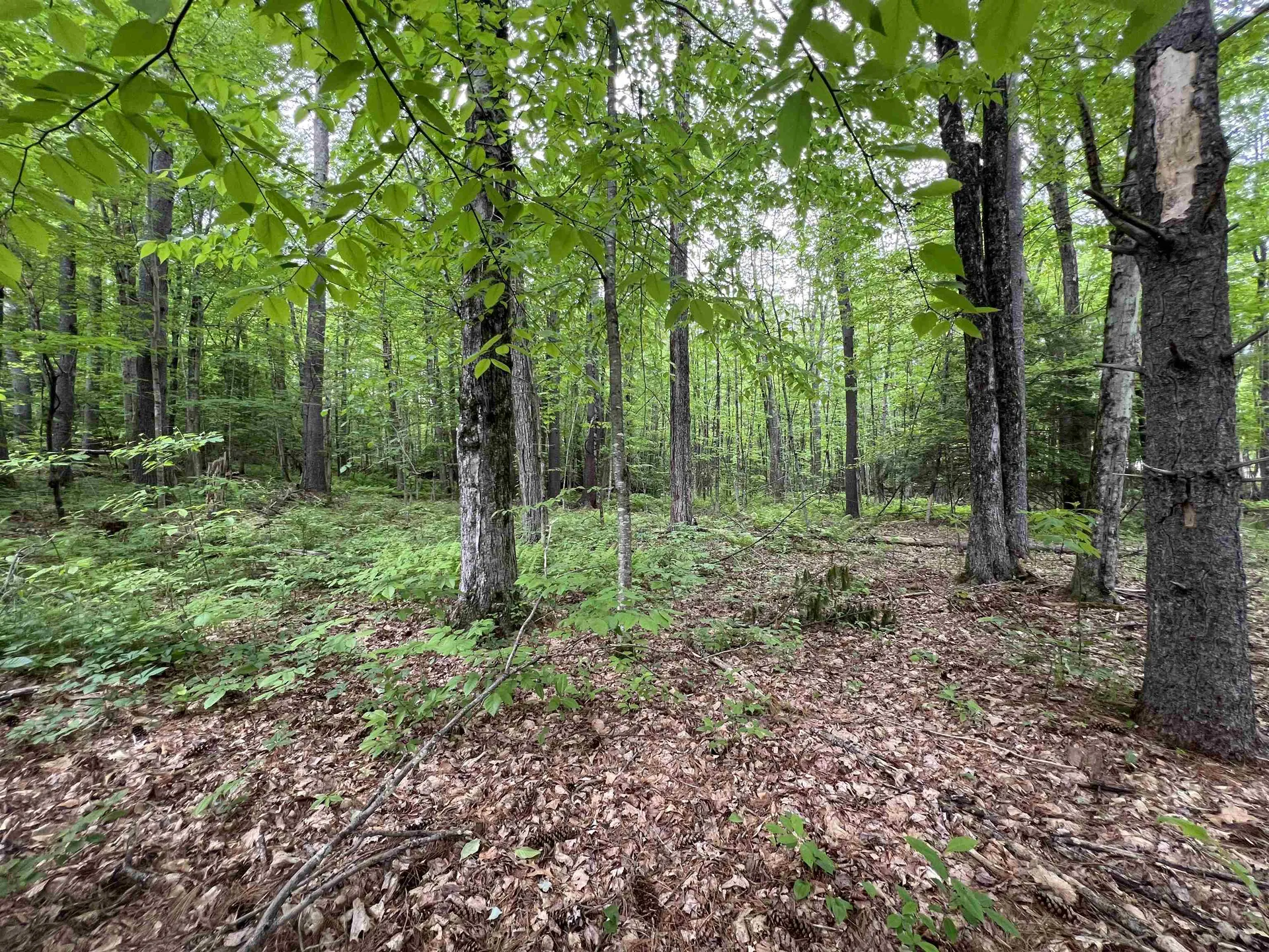 Ball Hill Road Milford NH 03055