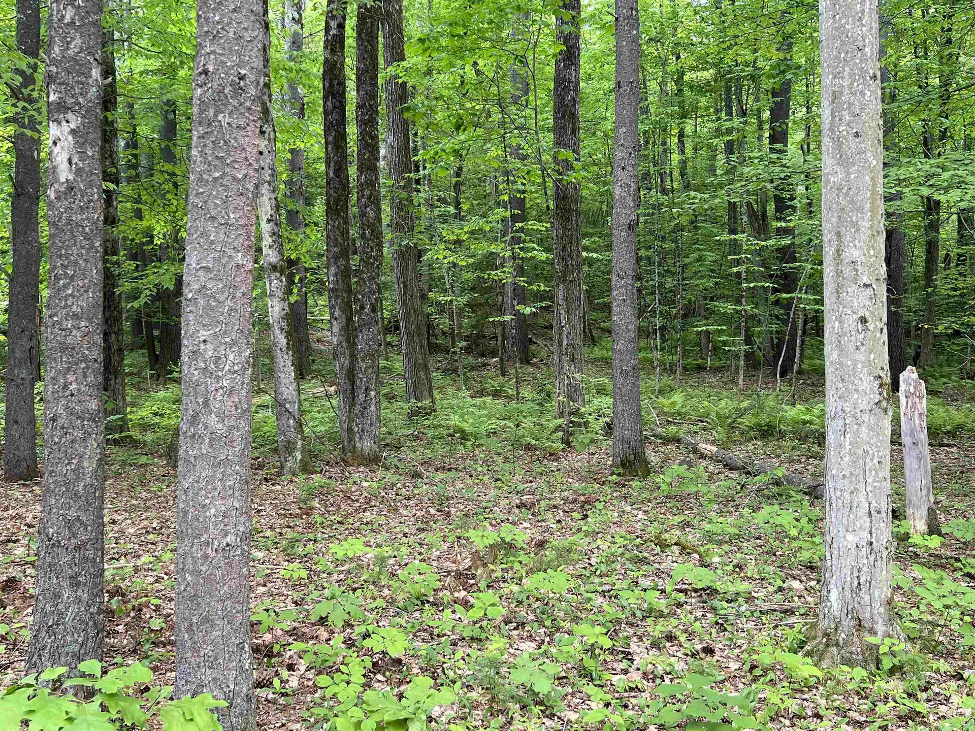 Ball Hill Road Milford NH 03055