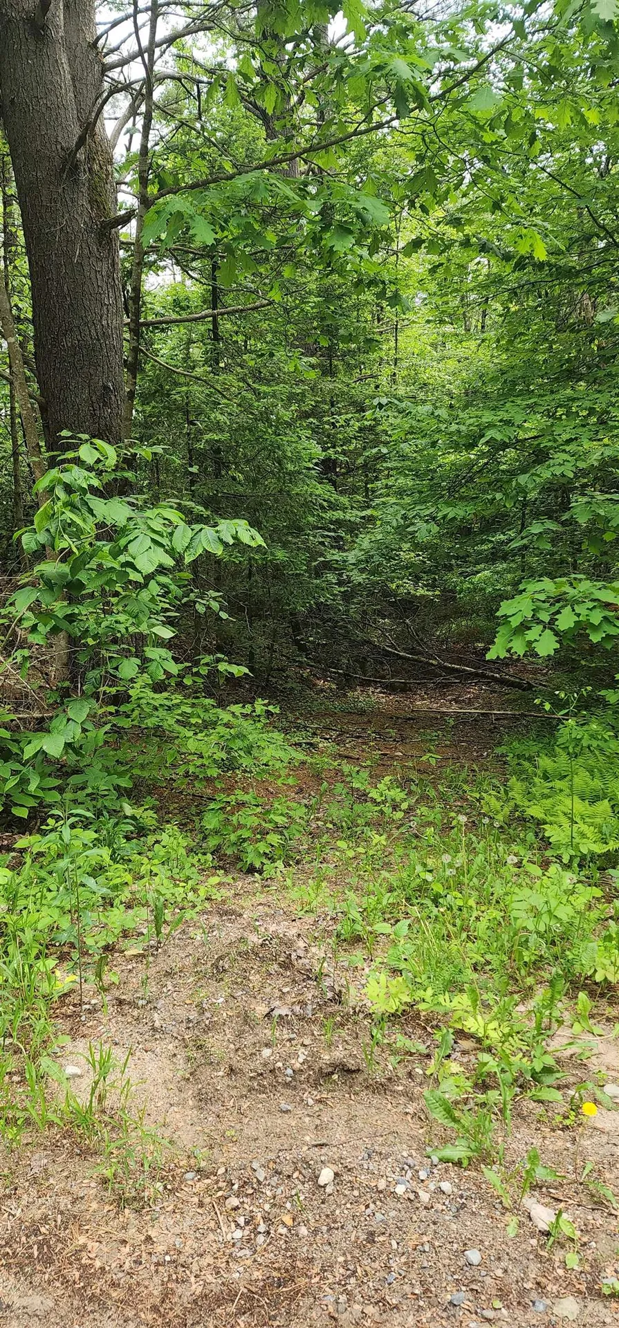 Pine Ridge Road Middleton NH 03887