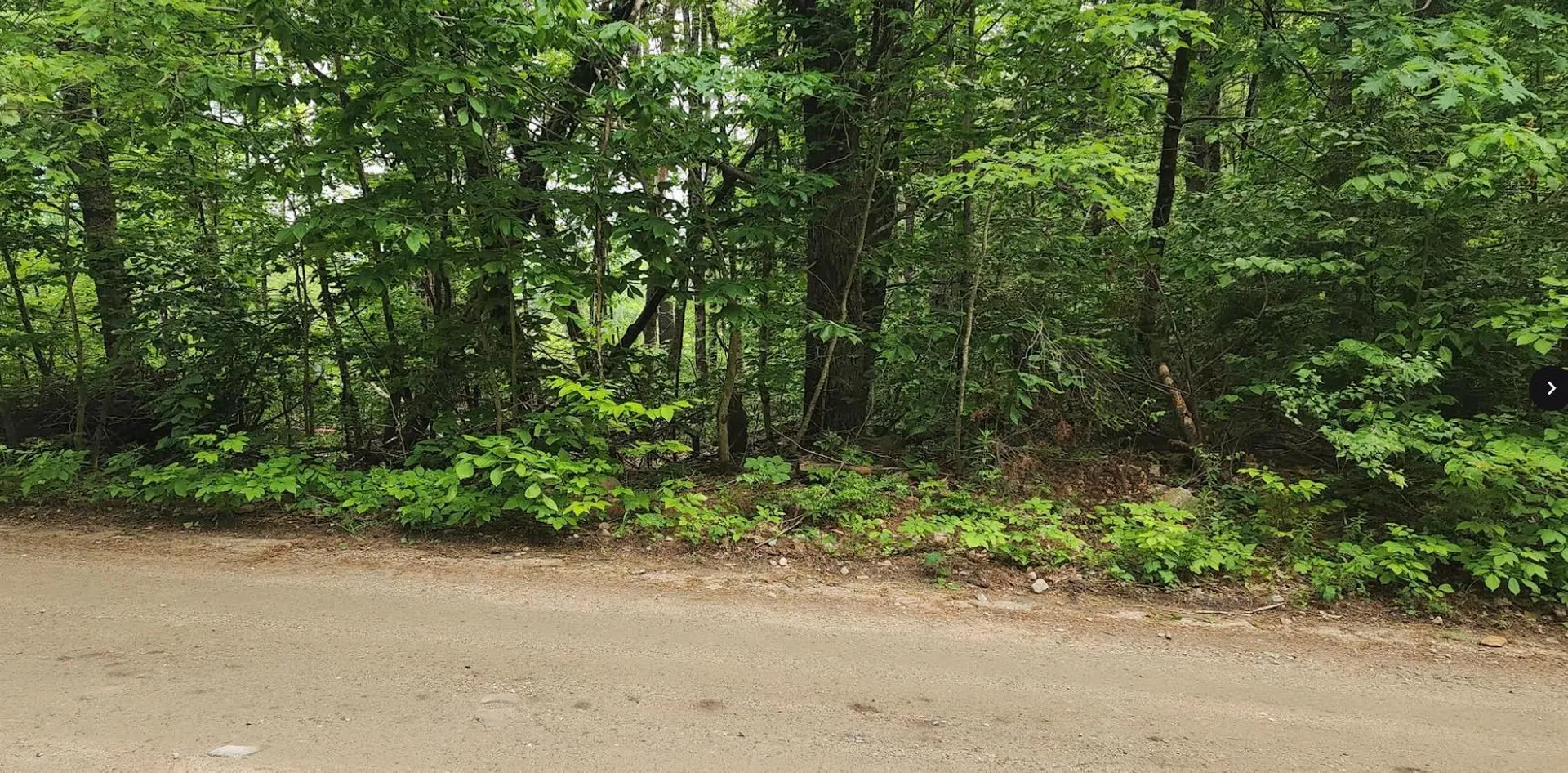 Pine Ridge Road Middleton NH 03887