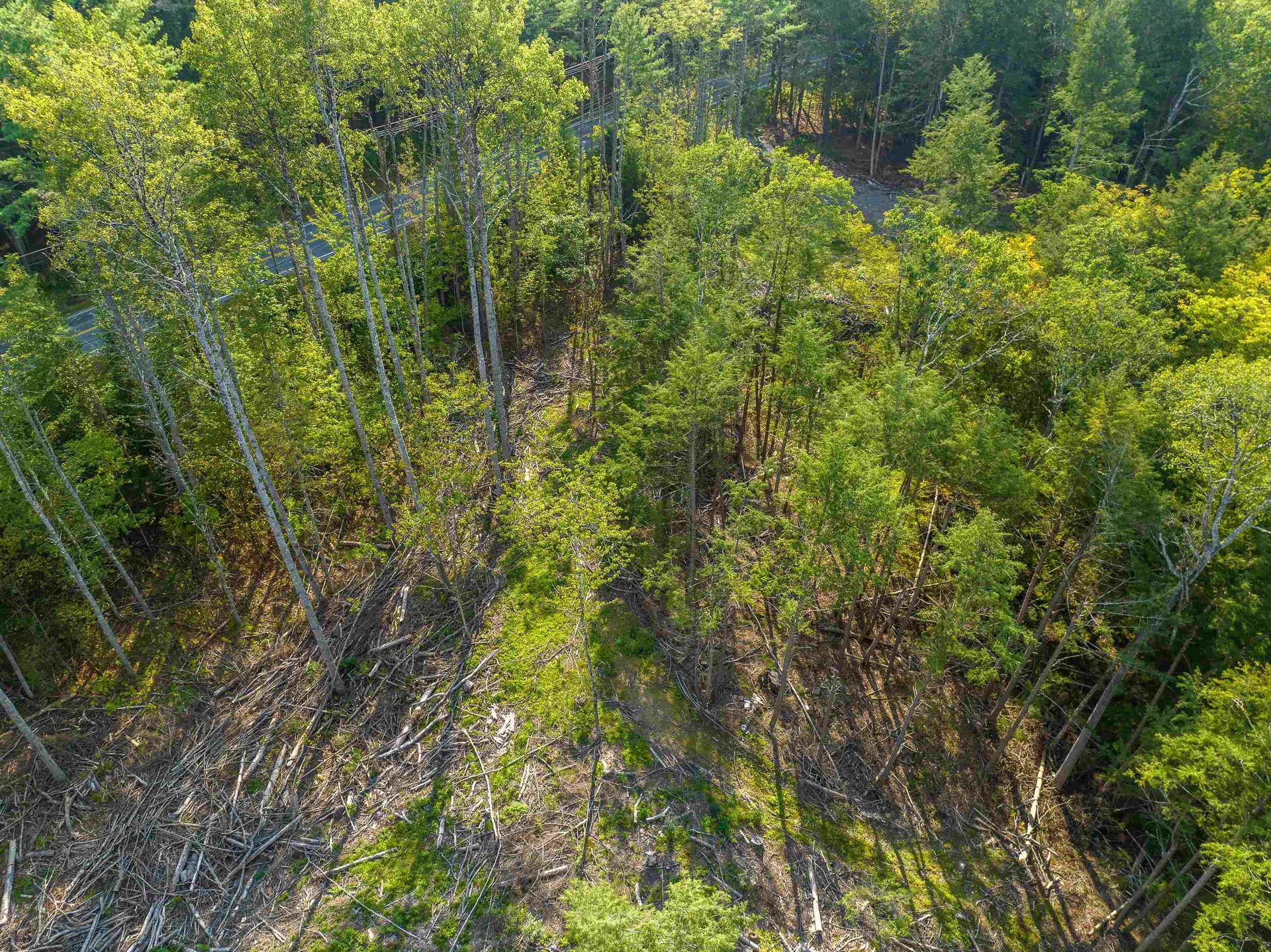 00 Lisbon Road Bath NH 03740