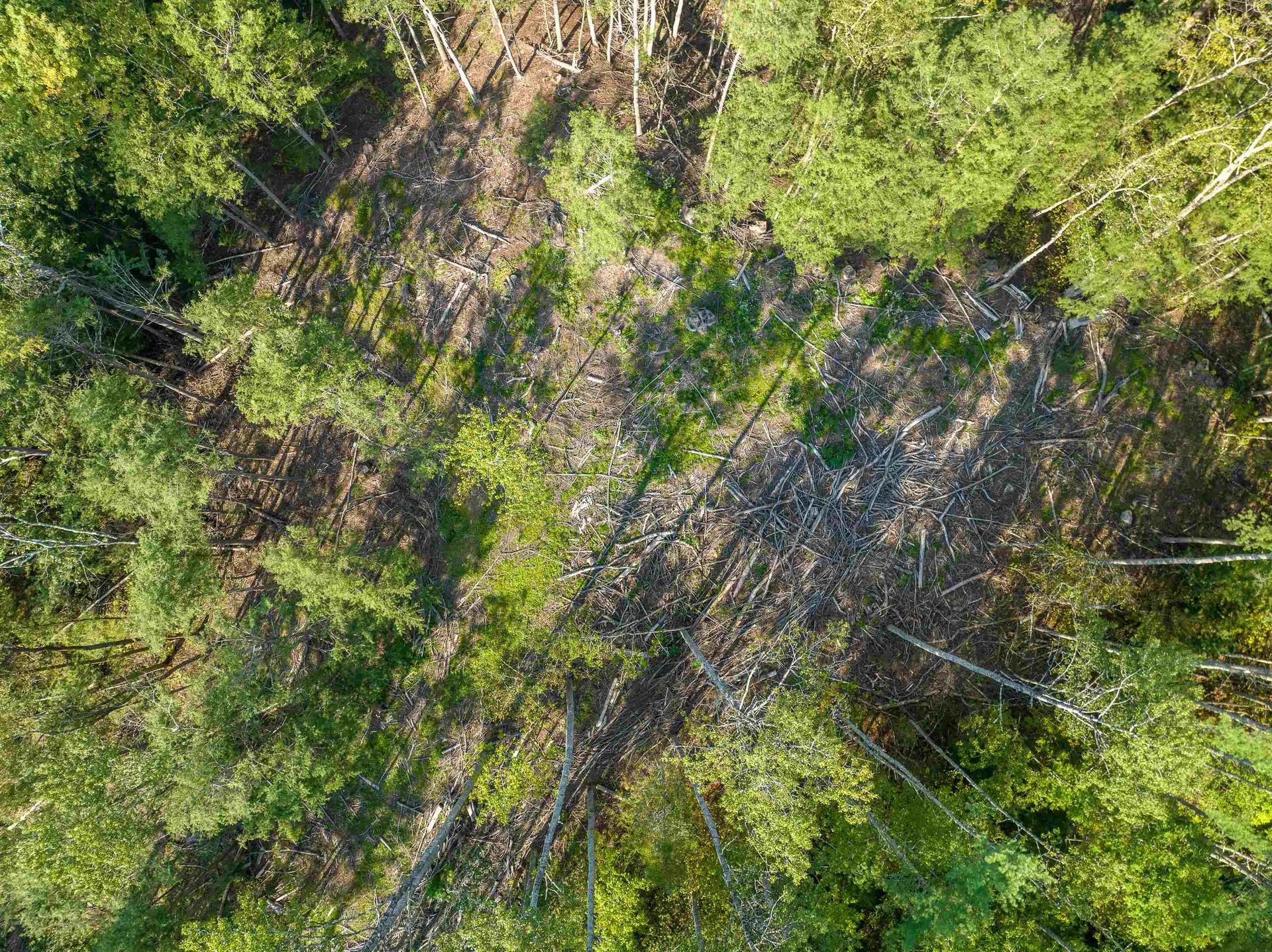 00 Lisbon Road Bath NH 03740