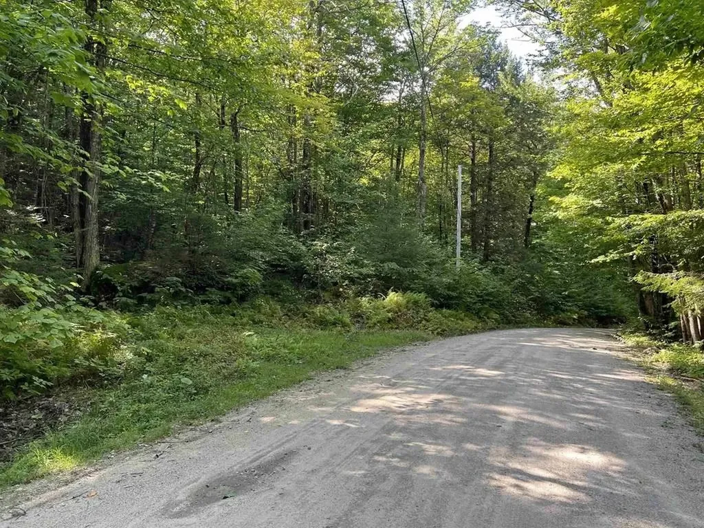 Dole School House Road Washington NH 03280