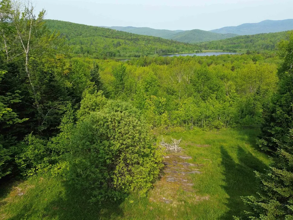 48 Alberts Lane Warren VT 05674